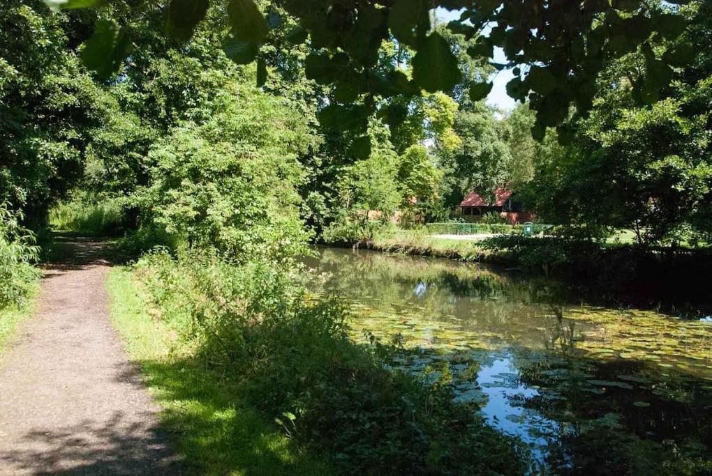Meddlars A Historic Cottage On The Countryside Edge Of A Vibrant Market Town Hadleigh  المظهر الخارجي الصورة